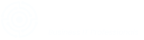 NZCS Business IT Professionals